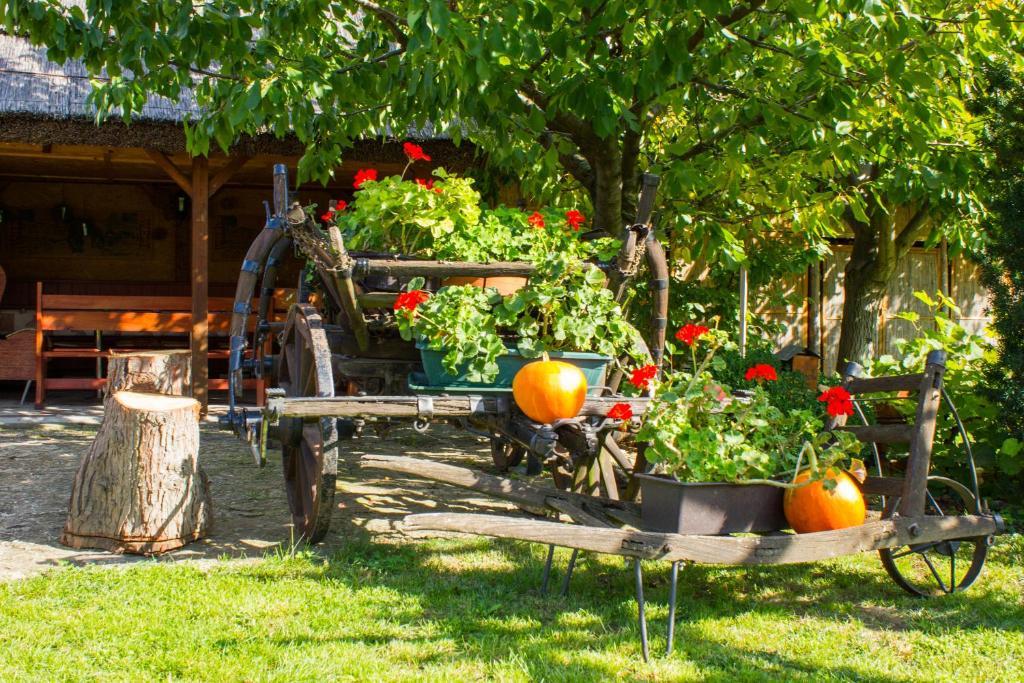Kaktusz Villa ヘーヴィーズ エクステリア 写真